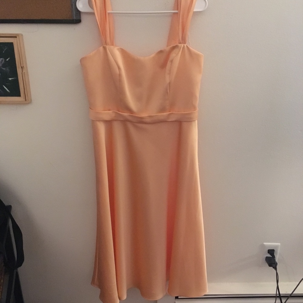 David’s Bridal Dress